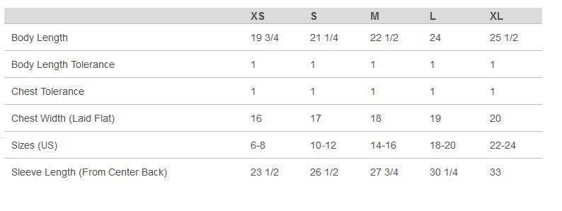 ringwood skyhawks sport gray heavy blend™ hooded sweatshirt - 18500 w/ skyhawks logo on front