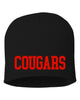 Hazleton Area Cougars - Black Sportsman - 8